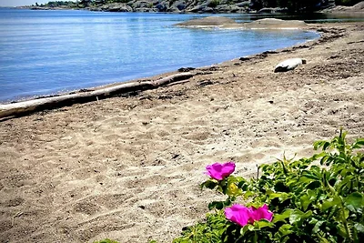 5 Sterne Ferienhaus in Vesterøy