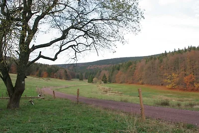 Im Fachwerkhaus