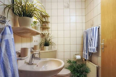 Strandflieder im Haus Meeresgruß