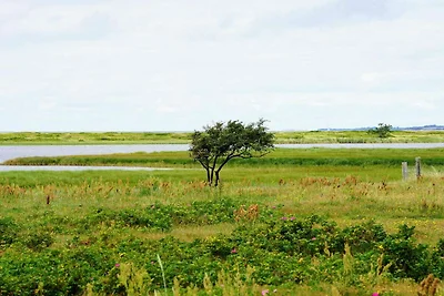 6 Personen Ferienhaus in Højby-By Traum
