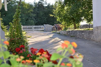 Stelzenmühle Reichelsburgblick