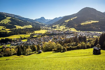 Apartment in Tirol in der Nähe des...