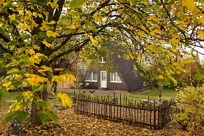 Casa vacanze a Bestwig con giardino privato