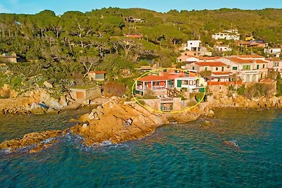 The Boat Isola d'Elba
