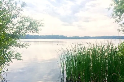 Kuća za odmor Dopust za oporavak Waren (Müritz)