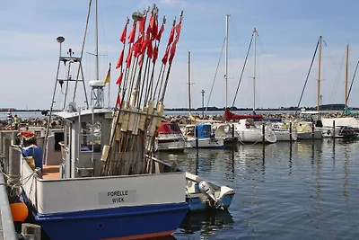 Appartamento Großer Seestern, Wiek