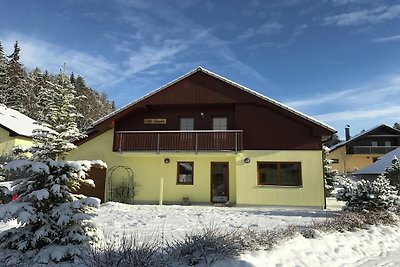 Bellissima villa con piste da sci