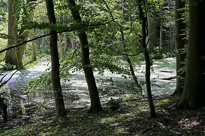 Luxus-Poolvilla in Lohals -- By Traum...