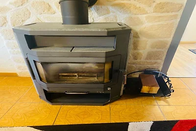 Friedlicher Waldurlaub in Altenfeld