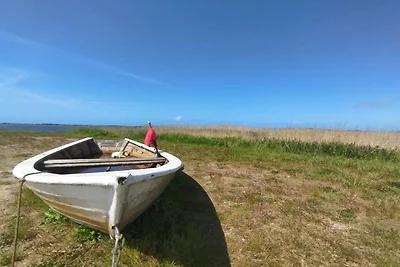 4 Personen Ferienhaus in Ringkøbing-By Traum