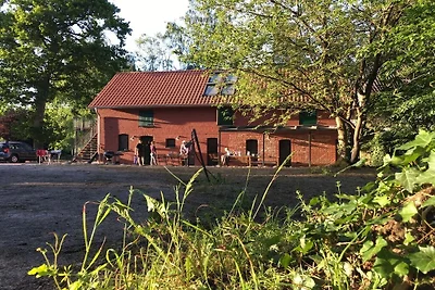 Rittershof - Himmelsboden