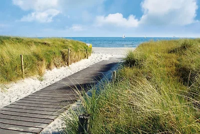 Schöne authentische Mühle nahe am Meer