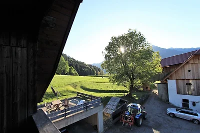 Appartement in Gmünd, vlakbij de...
