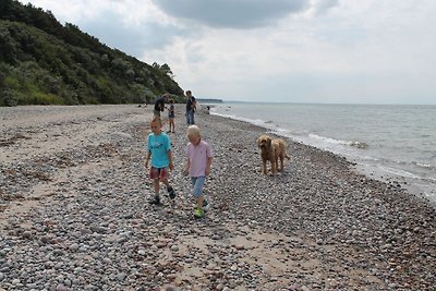 Aangenaam vakantiehuis bij het strand