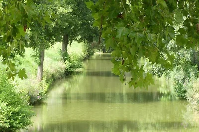 Ecolodge in Frankreich mit Waldidylle