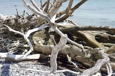 4 persone case ad Stege-By Traum