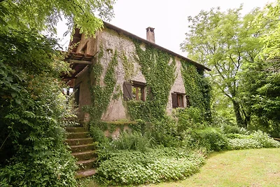 Ferienhaus in Les Eyzies-De-Tayac-Sireuil mit...