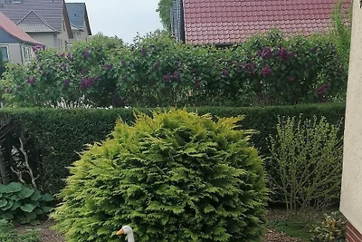 Vakantiehuis met 1 slaapkamer