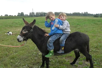 Ferienwohnung mit 2 Schlafzimmer