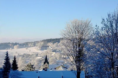 In the country house in Irlau