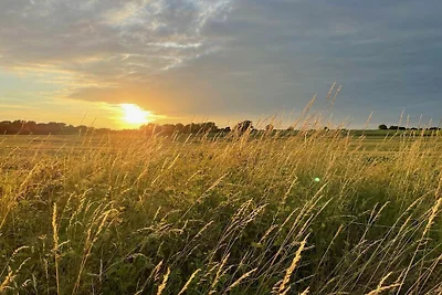 Ferienhaus Baumhaus Weissenhäuser Strand