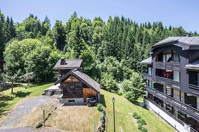 Gezellig appartement in de Morillon Alpen