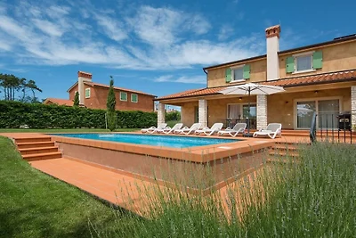 Villa in Nedescina mit Schwimmbecken