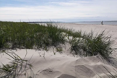 4 sterren vakantie huis in GOTLANDS TOFTA-By...