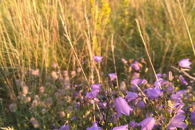 5 Personen Ferienhaus in ESKILSTUNA