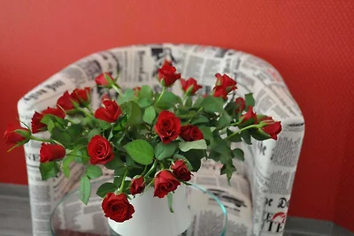 Reetdachhaus am Bodden mit Sauna