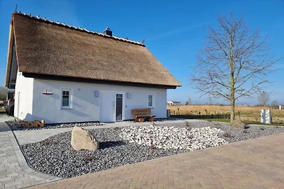 Ferienhaus in Mellnitz mit Schwimmbecken