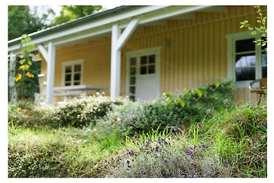 Vakantiehuis met 1 slaapkamer