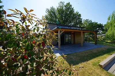 Ferienhaus Erholungsurlaub Biddinghuizen