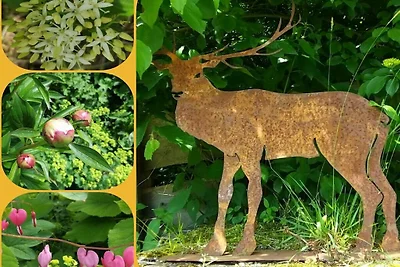 KAISERBLICK im Landhaus Sankt Markus