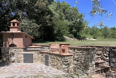 Campi di Cascio || Monteverdi Marittimo