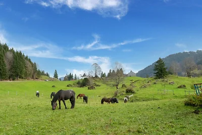 Res. Gritschhof in Latsch mit Pool & Garten