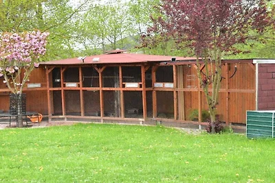 Ferienwohnung mit 2 Schlafzimmer