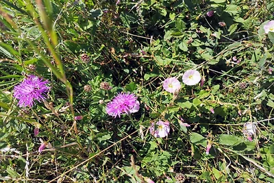 4 Personen Ferienhaus in Karrebæksminde-By...