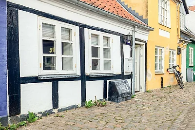 4 sterren vakantie huis in Aalborg