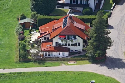 Rosengarten im Ferienhaus Carola
