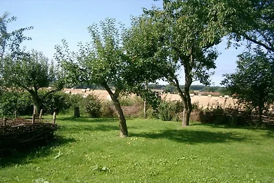 Grevenstein in der Gutsscheune Thorstorf