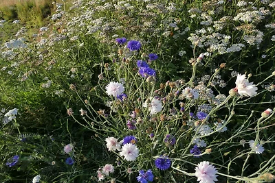 Modernes Refugium mit Blick -- By Traum...