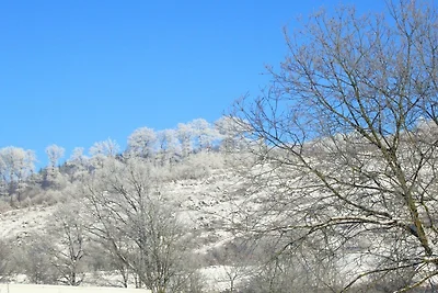 Vakantiehuis in Sauerland vlakbij skigebied...