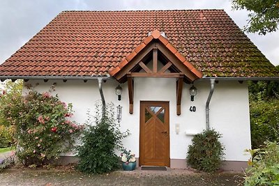 Modernes Ferienhaus in Mühlbach in Waldnähe