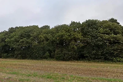 5 Sterne Ferienhaus in Hovborg-By Traum
