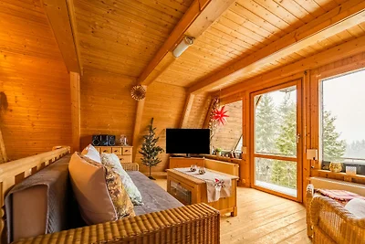 Tranquilla casa vacanze a Suhl con sauna