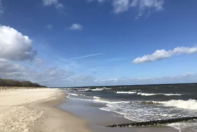 Bernsteinbeobachter||