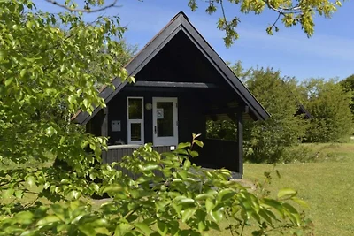 Hütte für 4 Personen im Campingresort Pandrup