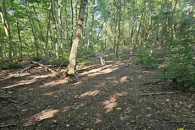 Ruhiger Seeblick-Ruckzugsort in Ry-By Traum