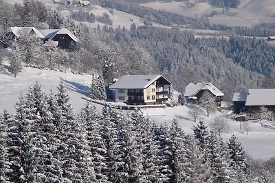 Wohnung in Afritz nahe Skigebieten
